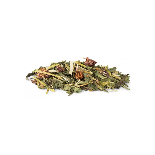 Корм Vitakraft Vita Verde Nature Mix для декоративних гризунів з подорожником та конюшиною 70 г 4008239256928 - зображення 2