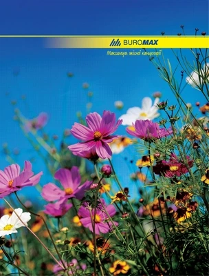 Зошит офісний Buromax А4 96 арк. клітинка тверда палітурка асорті (BM.2400) - Фото 1 Зошит офісний Buromax А4 96 арк. клітинка тверда палітурка асорті (BM.2400) - изображение 1