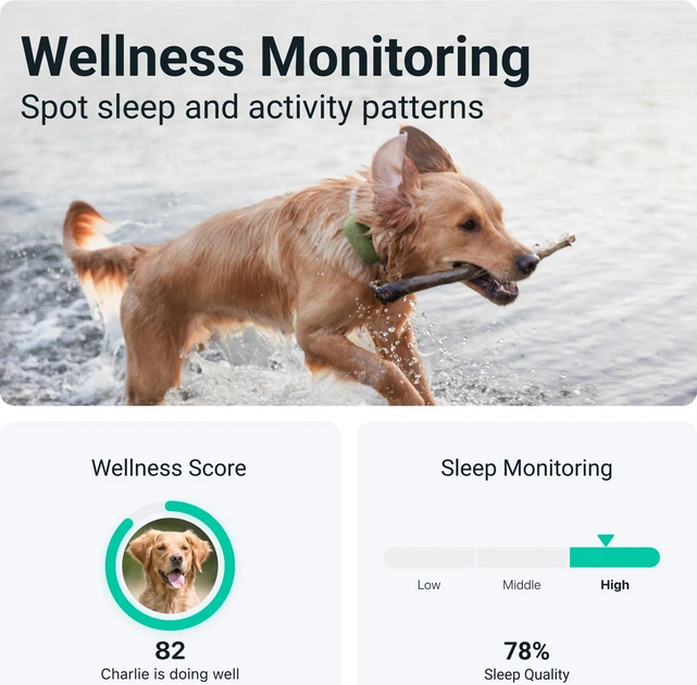 Lokalizator GPS Tractive Dog XL wodoodporny Zielony (9120056451647) - obraz 5