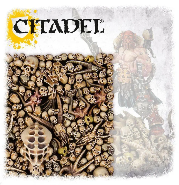 Аксесуари CITADEL SKULLS черепи - Фото 8 Аксесуари CITADEL SKULLS черепи - изображение 8