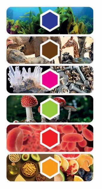 Науковий набір Clementoni Smart Наука та ігри (8005125561018) - зображення 5