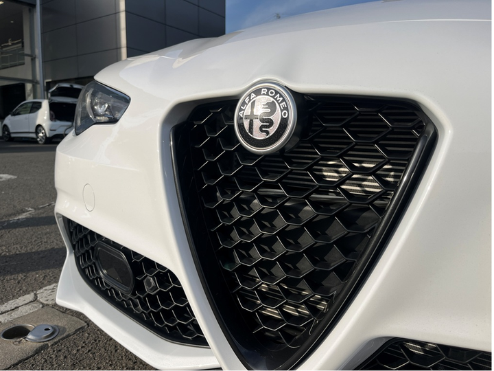 Наклейка Альфа ромео Alfa Romeo для знака капот багажник металлическая 75 мм знак черная - изображение 7