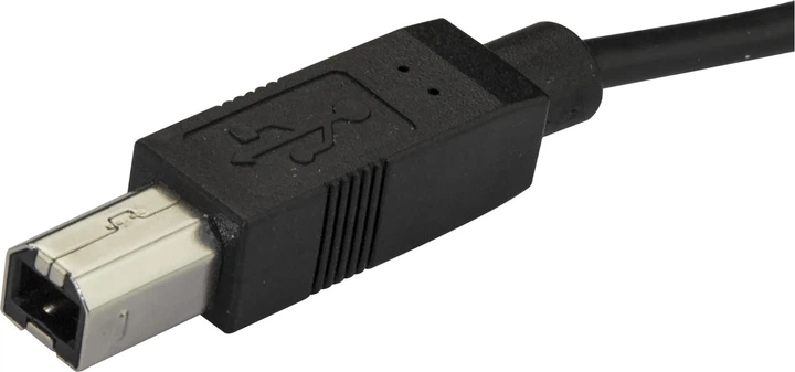 Кабель Startech USB-B to USB-C 2 м Black (USB2CB2M) - зображення 3