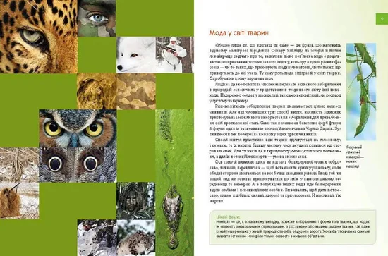 Енциклопедія для допитливих: Тварини - майстри маскування - изображение 2