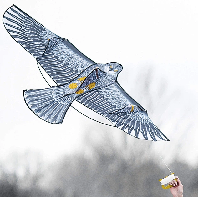 Latawiec Kadax Orzeł 180 x 80 cm K5512 (5903699446546) - obraz 5