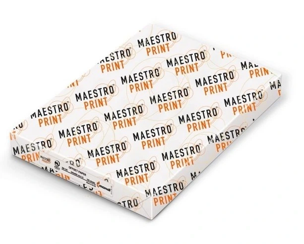 Ватман Maestro А1 250г/м2 60х84 100 л. (51002) - зображення 2