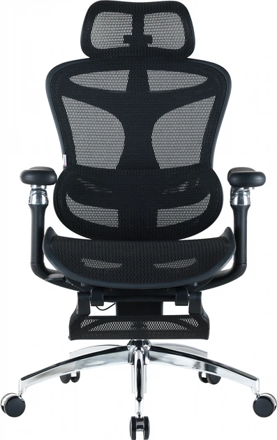 Fotel biurowy SIHOO DORO C300 Pro Mesh Black (DORO-C300-PRO-M101-JT) - obraz 2