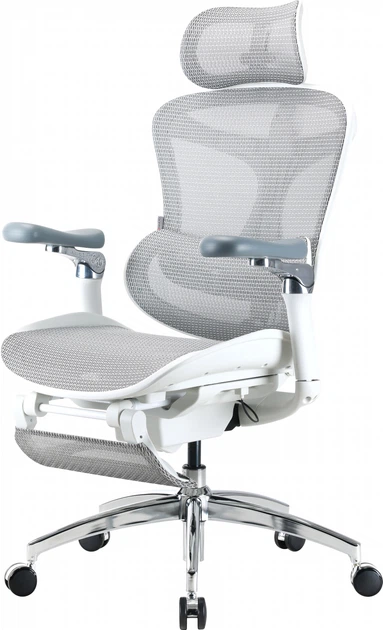 Fotel biurowy Sihoo DORO C300 Pro Mesh White (DORO-C300-PRO-M102-JT) - obraz 3