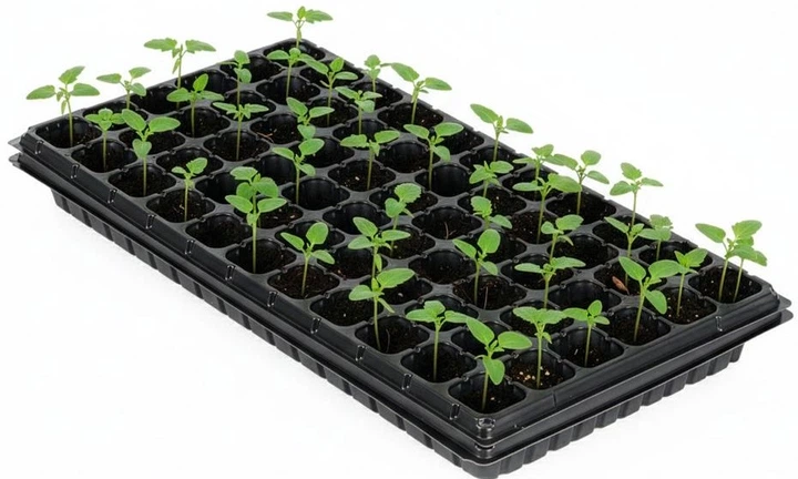 Doniczki do sadzonek Springos GA0221 - obraz 5