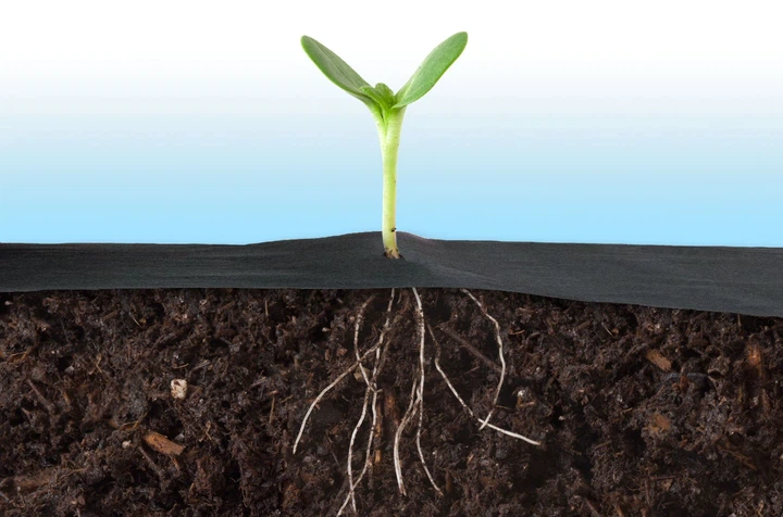 Agrowłóknina ogrodowa Plonos 490000 - obraz 3