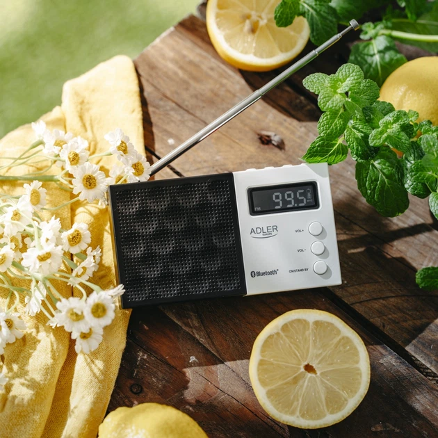 Odbiornik radiowy Adler AD 1908 PLL AM/FM (5905575905512) - obraz 15