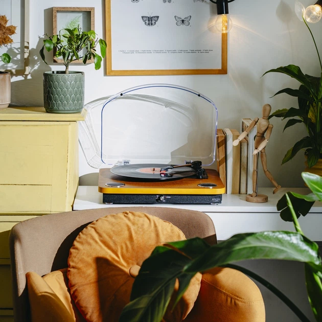 Gramofon Adler AD 1914 z USB i Bluetooth Wood (5905575907592) - obraz 14