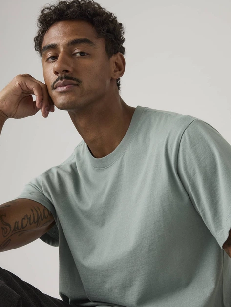 Футболка бавовняна довга чоловіча Levi`s Ng Essential Tee 005GZ-0010 XL Сіра (5401187817101) - зображення 4