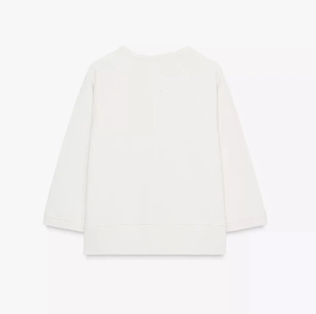 Світшот з рукавами реглан Zara 0858/830 M Бежевий (00858830711М) - изображение 5