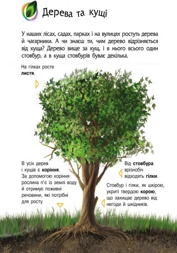 Дитяча енциклопедія про природу 614008 для дошкільнят - изображение 3