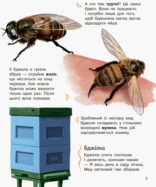 Дитяча енциклопедія про комах 614014 для дошкільнят - Фото 2 Дитяча енциклопедія про комах 614014 для дошкільнят - изображение 2