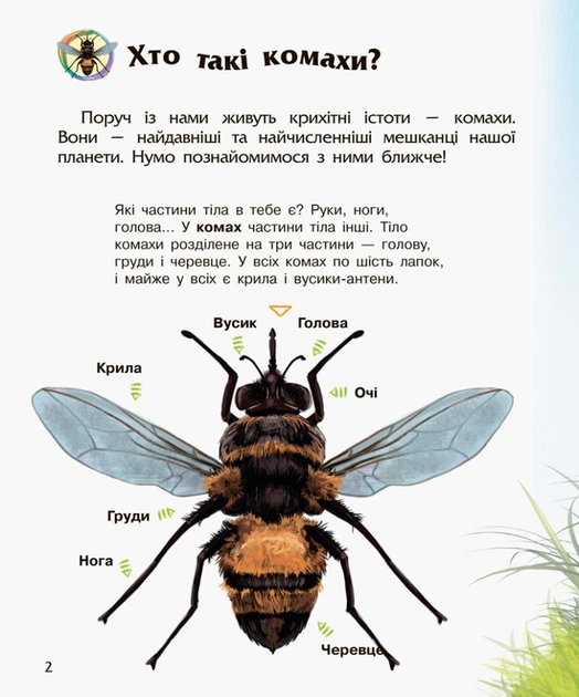Дитяча енциклопедія про комах 614014 для дошкільнят - Фото 7 Дитяча енциклопедія про комах 614014 для дошкільнят - изображение 7