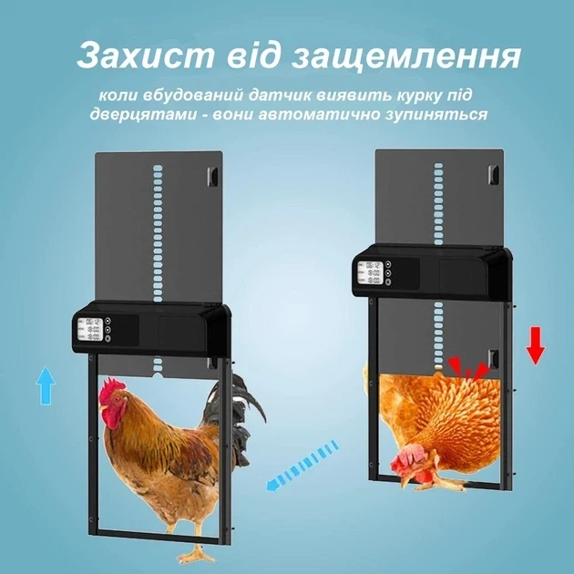 Автоматическая дверь для курятника с таймером заслонка / ворота для сельскохозяйственных курника для птиц от хищников - Фото 4 Автоматическая дверь для курятника с таймером заслонка / ворота для сельскохозяйственных курника для птиц от хищников - изображение 4