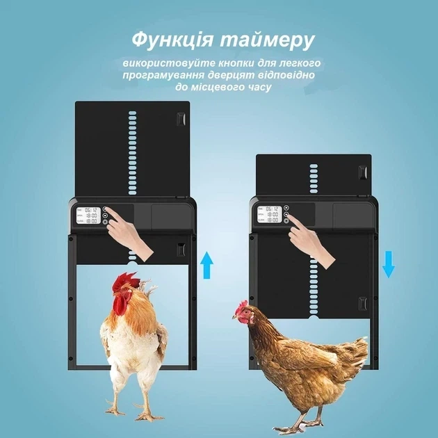 Автоматическая дверь для курятника с таймером заслонка / ворота для сельскохозяйственных курника для птиц от хищников - Фото 5 Автоматическая дверь для курятника с таймером заслонка / ворота для сельскохозяйственных курника для птиц от хищников - изображение 5