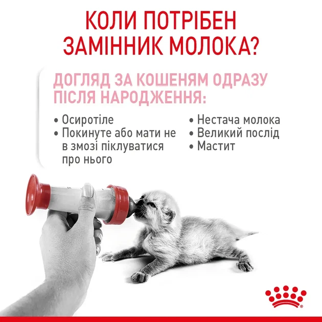 Молоко для новорожденных котят ROYAL CANIN BABYCAT MILK 0.3 кг - изображение 2