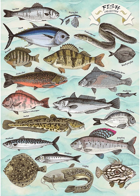 Пазл Trefl Premium Plus Finders Keepers: Риби 500 елементів 37609 (5900511376098) - зображення 3