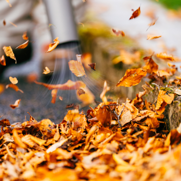 Dmuchawa Top CUT DE3500-E - obraz 3