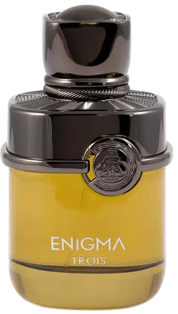 Парфумована вода для чоловіків Fragrance World Enigma Trois 100 мл (6291108329306) - зображення 1
