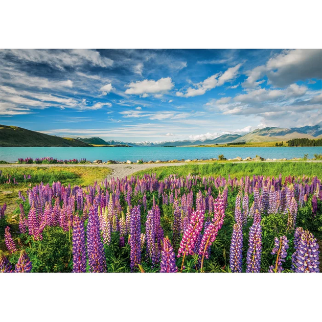 Пазл Clementoni: High Quality Collection — Lupins at Lake Tekapo / Люпин на озері Текапо (1500 елементів) — 31731 - зображення 2
