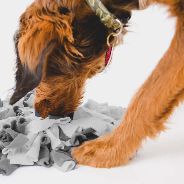 Коврик для нюханья для собак Derby Raccoon Shape Pet Snuffle Mat - изображение 6