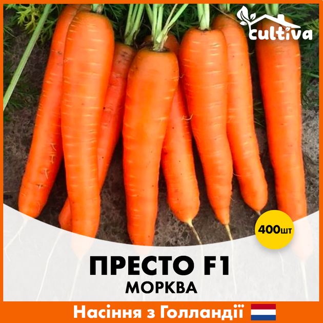Голландские семена Hazera Морковь Престо F1 нантского типа 400 шт - Фото 4 Голландские семена Hazera Морковь Престо F1 нантского типа 400 шт - изображение 4