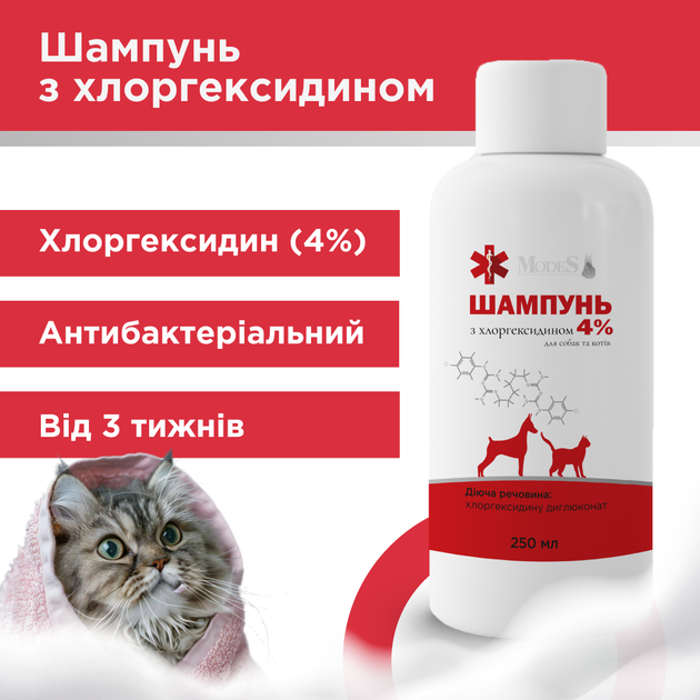 Шампунь с хлоргексидином 4% для собак и кошек, 250 мл, MODES - Фото 2 Шампунь с хлоргексидином 4% для собак и кошек, 250 мл, MODES - изображение 2