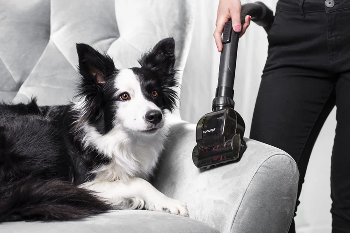 Пилосос без мішка Concept FURIOUS Home & Pet VP5150 - зображення 16