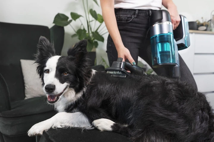 Акумуляторний пилосос Concept VP6130 - зображення 8