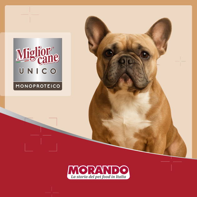 Консервированный корм Morando Migliorcane UNICO Влажный корм с телятиной для собак средних и крупных пород 300 г (m02447) - изображение 6
