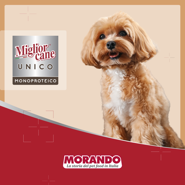 Консервированный корм Morando Migliorcane UNICO Влажный корм для собак, паштет из индейки 100 г (m02453) - изображение 6