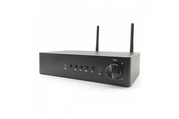 Стрімковий стрімер з підсилювачем DV audio WMP-260 PRO Wi-Fi Bluetooth - зображення 2