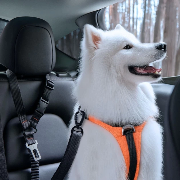 Uchwyt samochodowy Spigen PS100 Universal Car Seat Belt Holder for Pets Black (8809971237567) - obraz 9