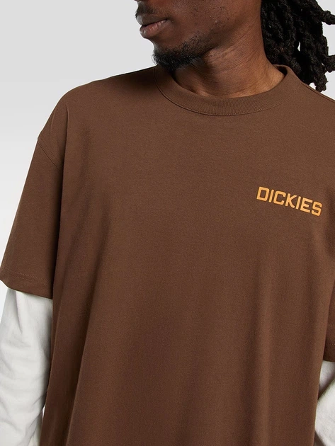 Longsleeve męski Dickies DK0A88JF0TB1 XL Brązowy (800070354606) - obraz 4