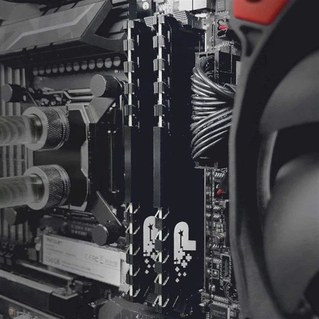 Пам'ять для настільних комп'ютерів PATRIOT 32 GB (2x16GB) DDR4 3200 MHz Signature Premium (PSP432G3200KH1) - Фото 5 Пам'ять для настільних комп'ютерів PATRIOT 32 GB (2x16GB) DDR4 3200 MHz Signature Premium (PSP432G3200KH1) - изображение 5
