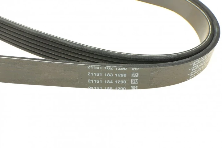 Ремінь приводний DAYCO 6PK2195 Mercedes C-Class, E-Class, V-Class, Vito, Sprinter, S-Class; Ford S-Max, Galaxy, Mondeo, KA; Jeep Cherokee XJ, Cherokee KJ; Ford USA Explorer; Jaguar XJ, XF 6C1Q6C301FA, 53032817AB, 53032817AA - зображення 3