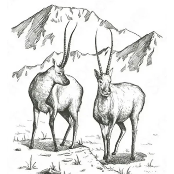 Спальник Naturehike NH21MSD06 (1047-6927595795330) - зображення 2