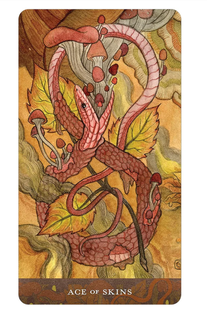 Карти Таро Кривавий Місяць - Blood Moon Tarot Cards Deck US Games Systems - зображення 5