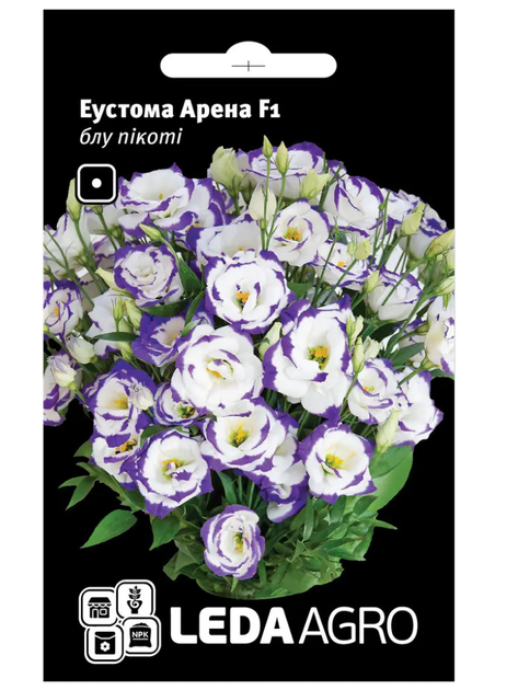 Єустома "Арена F1" блу пікоті ТМ "Leda Agro" 5 шт. - Фото 1 Єустома "Арена F1" блу пікоті ТМ "Leda Agro" 5 шт. - зображення 1