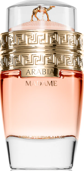 Подарунковий набір мініатюр парфумованих вод Le Chameau Arabia Gift Set (Madame, Haya, Haya Crush, Bon Voyage) 4*25 мл - зображення 3