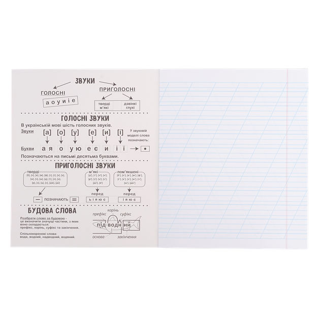 Набор ученических тетрадей Zibi Monochrome 12 листов в косую линию х 25 шт (ZB25.1750C) - Фото 11 Набор ученических тетрадей Zibi Monochrome 12 листов в косую линию х 25 шт (ZB25.1750C) - изображение 11