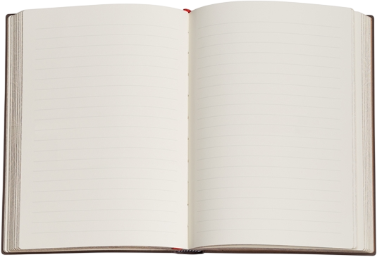 Записная книжка Paperblanks Фея Вьюнка 18х23 см 144 страницы в линейку (9781439799147) - Фото 2 Записная книжка Paperblanks Фея Вьюнка 18х23 см 144 страницы в линейку (9781439799147) - изображение 2