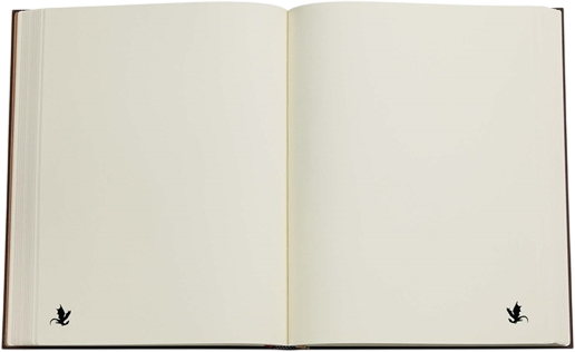 Записная книжка Paperblanks Четвертое крыло – Тени Наварры 18х23 см 144 страницы нелинованная (9781439799871) - Фото 3 Записная книжка Paperblanks Четвертое крыло – Тени Наварры 18х23 см 144 страницы нелинованная (9781439799871) - изображение 3