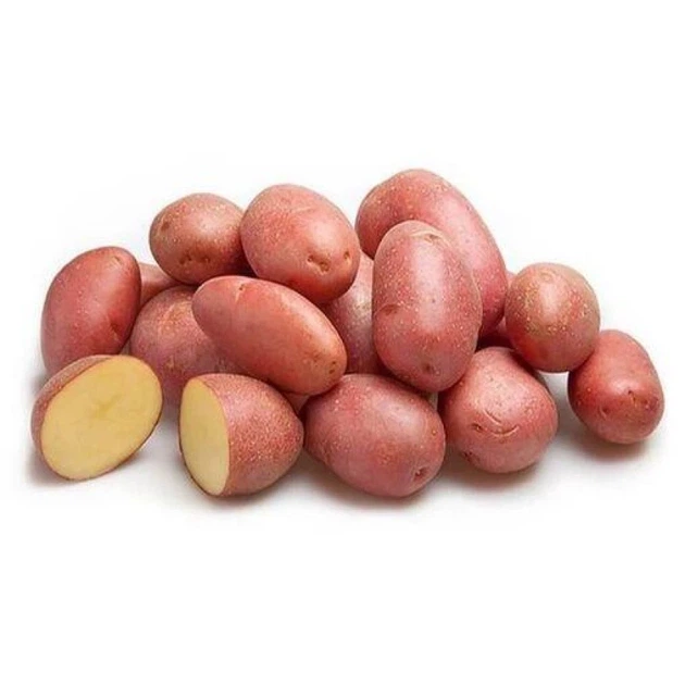 Насіннєва картопля Алюетт 1 кг, 80-90 днів 2 репродукція - изображение 2
