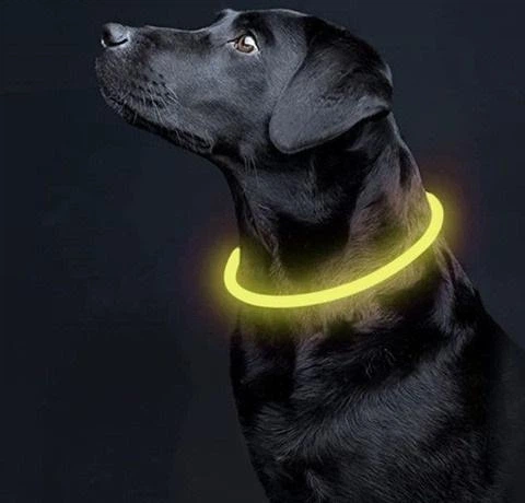 Светодиодный ошейник для собак и кошек Purlov 24200 с USB зарядкой — LED ошейник регулируемый - изображение 11