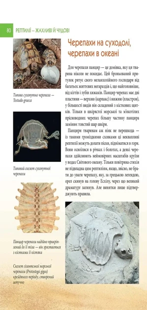Книга «Енциклопедія для допитливих А5. Рептилії — жахливі й чудові». Автор - Андрій Гапченко - зображення 5